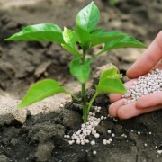 Мінеральні добрива